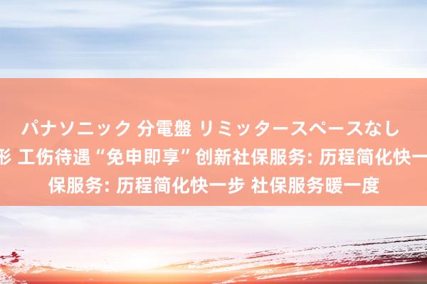 パナソニック 分電盤 リミッタースペースなし 露出・半埋込両用形 工伤待遇“免申即享”创新社保服务: 历程简化快一步 社保服务暖一度