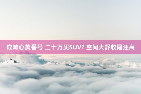 成濑心美番号 二十万买SUV? 空间大舒收尾还高