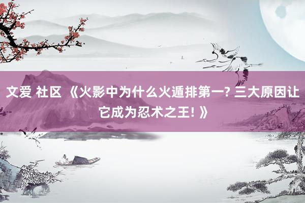 文爱 社区 《火影中为什么火遁排第一? 三大原因让它成为忍术之王! 》