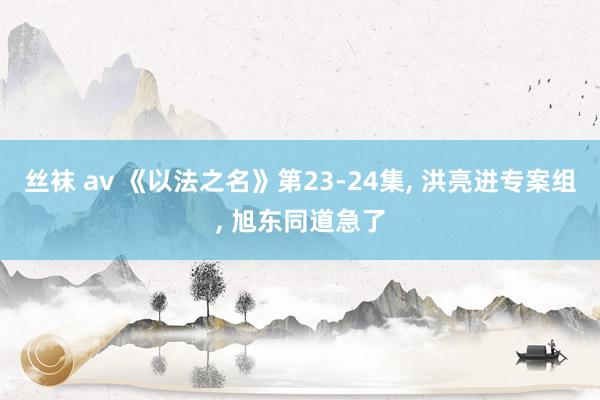 丝袜 av 《以法之名》第23-24集， 洪亮进专案组， 旭东同道急了